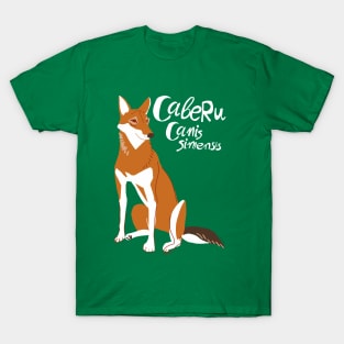 Caberu the Ethiopian Wolf #1 T-Shirt